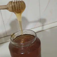 عسل تضمینی|خوردنی و آشامیدنی|تهران, تهرانپارس جنوبی|دیوار