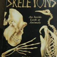 کتاب نفیس skeletons