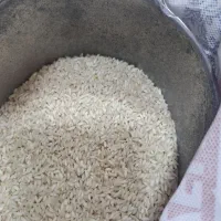 برنج عنبربولوکس حمزه|خوردنی و آشامیدنی|دزفول, |دیوار