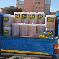 روغن آفتاب گردان و کلزا وینترایز