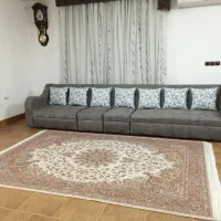 مدل ال،طوسی رنگ ،بدون استفاده ،نو،چیدمان متنوع|مبلمان خانگی و میز عسلی|شیراز, کوشک میدان|دیوار