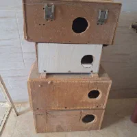 لانه پرنده و قفس چوبی بزرگ