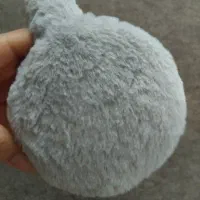 گوشبند خزدار|لباس|لنگرود, |دیوار