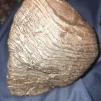 شهاب  از کویر