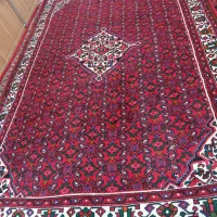 شش متری همدان در حد نو|فرش|میانه, |دیوار