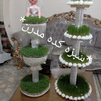 سبزه کده * مدرن*