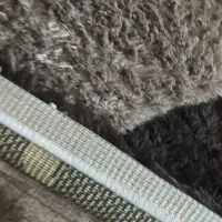 قالی|فرش|مشهد, بهمن|دیوار