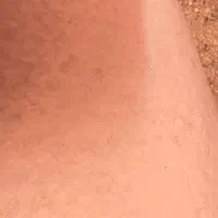 موکت پالاز|موکت|بروجرد, |دیوار