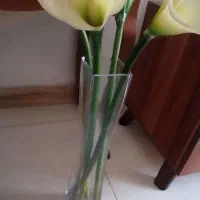 ۶عدد بشقاب نو و جاکاردی|ظروف سرو و پذیرایی|رشت, سعدی (تختی)|دیوار