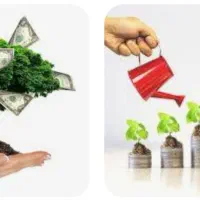 نیازمند راهنمایی سرمایه
