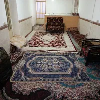 سوییت روزانه