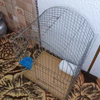 قفس پرنده عروس هلندی وسره بفروش میرسد|لوازم جانبی حیوانات|مشکیندشت, |دیوار