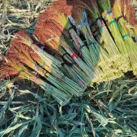 جارو درجه یک|جاروبرقی، جارو شارژی، بخارشو|کامیاران, |دیوار