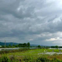 زمین-کشاورزی-6-هزار-متری-نزدیک-جاده-سند-دار
