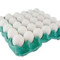 تخفیفات روز دانش اموز