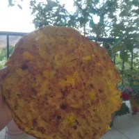 نان روغنی محلی