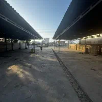 ۷۰۰ متر زمین تجاری کمربندی نوشهر