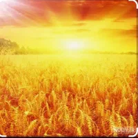 زندگی تو بساز