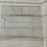 فروش قفس پرنده دست دوم|لوازم جانبی حیوانات|قزوین, |دیوار