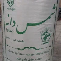 پلت