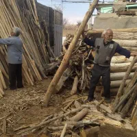 خرید و فروش انواع چوب باغی،هیزم و پایه