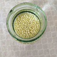 حلزون آچاتینا مولد|خزنده|تبریز, |دیوار