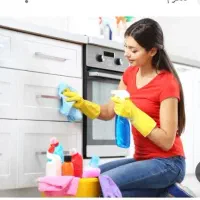 کارگر خانم برای نظافت