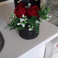 باکس گل فقط ۱۰۰