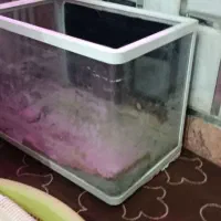 فروش آکواریوم