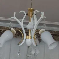 ۴عدلوستر سه شاخه ای کاملا سالم در حد نو