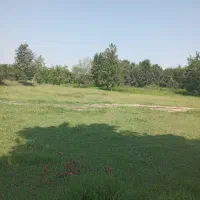 500 متر زمین رشت پاکت سازی