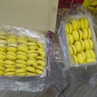 تولید و عرضه سوغات کرمانشاه به صورت عمده