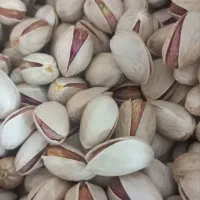 پسته احمدآقایی و اکبری با تخفیف امکان تست قبل خرید