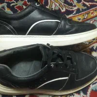 اسپرت ورزشی