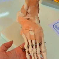 اموزش تخصصی پدیکور اسمارت مجازی و حضوری|خدمات آموزشی|یزد, |دیوار