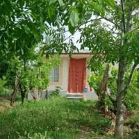 فروش باغ|فروش زمین و ملک کلنگی|انزل, |دیوار