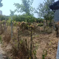 فروش زمین در شستا