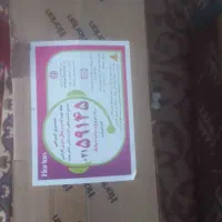 تلویزیوناوریون43