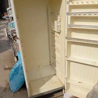 یخچال ماهی ونوشیدنی