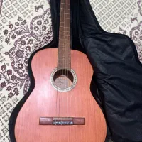 گیتار دست ساز مناسب افراد مبتدی و اموزش|گیتار، بیس، امپلیفایر|تهران, سلسبیل جنوبی|دیوار