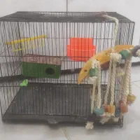 قفس پرنده
