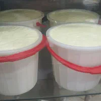 ماستبند کاربلد لبنیات سنتی پاره وقت یک روز در هفته
