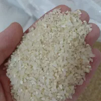 خردبرنج|خوردنی و آشامیدنی|مرودشت, علی‌آباد‎|دیوار