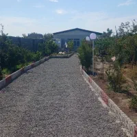 باغ-ویلا-باغستان-زیتون