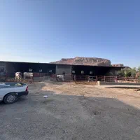 گاوداری-مجتمع-چم-تفت