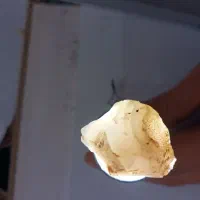 عقیق سفید جواهری|جواهرات|اردبیل, |دیوار