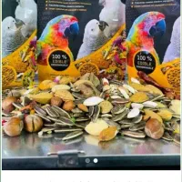 انواع دانه عروس هلندی طولی کاسکو مرغ مینا قناری