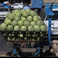 ۳ دانگ از ۶ دانگ میدان تره بار