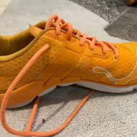 کتونی puma رانینگ اورجینال|کیف، کفش، کمربند|تهران, هزارسنگ|دیوار
