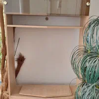 کمد ویترین و تلویزیون